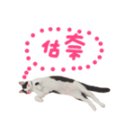 maggie＆hippocampus（個別スタンプ：7）