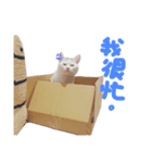 maggie＆hippocampus（個別スタンプ：8）