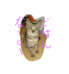 ムウ（個別スタンプ：4）