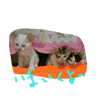 ムウ（個別スタンプ：5）