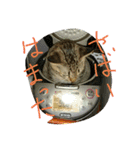 ムウ（個別スタンプ：9）
