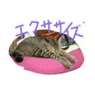 ムウ（個別スタンプ：12）