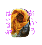 ムウ（個別スタンプ：23）