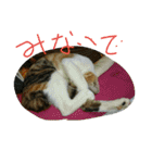 ムウ（個別スタンプ：26）