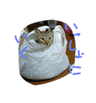 ムウ（個別スタンプ：28）