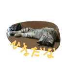 ムウ（個別スタンプ：30）