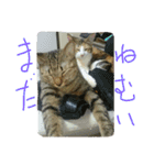 ムウ（個別スタンプ：32）