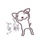 片眉！白いチワワンのありがちなスタンプ（個別スタンプ：3）