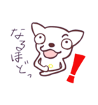 片眉！白いチワワンのありがちなスタンプ（個別スタンプ：4）