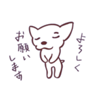 片眉！白いチワワンのありがちなスタンプ（個別スタンプ：12）