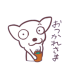 片眉！白いチワワンのありがちなスタンプ（個別スタンプ：17）