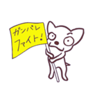 片眉！白いチワワンのありがちなスタンプ（個別スタンプ：33）