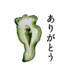 叫ぴー ～ピーマンの叫び～（個別スタンプ：2）