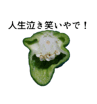 叫ぴー ～ピーマンの叫び～（個別スタンプ：13）