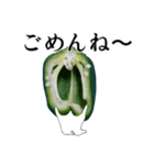 叫ぴー ～ピーマンの叫び～（個別スタンプ：16）
