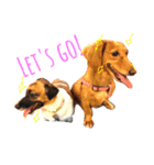 Mame the JRT ＆ Maron the Dchs（個別スタンプ：8）