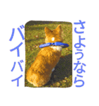 the corgi youcan't work 4（個別スタンプ：31）