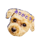 KURIBOU 1（個別スタンプ：2）