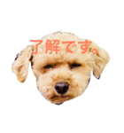 KURIBOU 1（個別スタンプ：3）