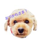 KURIBOU 1（個別スタンプ：4）