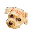 KURIBOU 1（個別スタンプ：5）