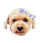 KURIBOU 1（個別スタンプ：7）