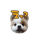 蘭丸さん（個別スタンプ：1）