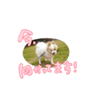 蘭丸さん（個別スタンプ：9）