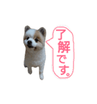 蘭丸さん（個別スタンプ：14）
