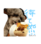 蓮見家のアイドルあしゅら（個別スタンプ：3）