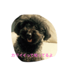 仕事でも多分使える。レオ＆ゆうた（個別スタンプ：4）