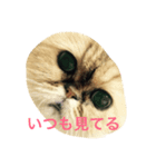 仕事でも多分使える。レオ＆ゆうた（個別スタンプ：5）