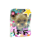 まみとヨーキーの日常会話（個別スタンプ：1）