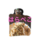 まみとヨーキーの日常会話（個別スタンプ：12）