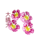 Flower Fairies（個別スタンプ：1）