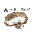 野菜のスタンプ(癒され、面白い日常会話)（個別スタンプ：14）