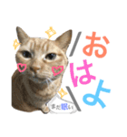 ういちゃんのスタンプ（個別スタンプ：1）