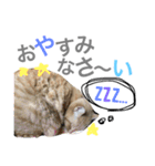 ういちゃんのスタンプ（個別スタンプ：2）