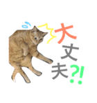 ういちゃんのスタンプ（個別スタンプ：5）