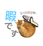 ういちゃんのスタンプ（個別スタンプ：7）