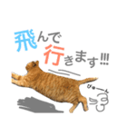 ういちゃんのスタンプ（個別スタンプ：8）