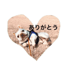 フレブルのフレ2やで！（個別スタンプ：1）