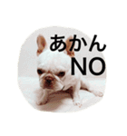 フレブルのフレ2やで！（個別スタンプ：3）