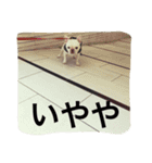 フレブルのフレ2やで！（個別スタンプ：11）