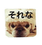 フレブルのフレ2やで！（個別スタンプ：12）
