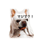 フレブルのフレ2やで！（個別スタンプ：15）