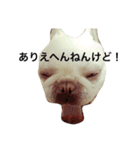 フレブルのフレ2やで！（個別スタンプ：17）