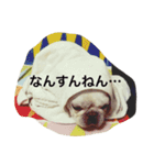 フレブルのフレ2やで！（個別スタンプ：25）