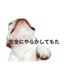 フレブルのフレ2やで！（個別スタンプ：30）