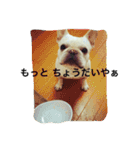 フレブルのフレ2やで！（個別スタンプ：35）